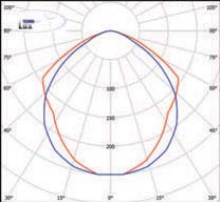  ������ ���� �����